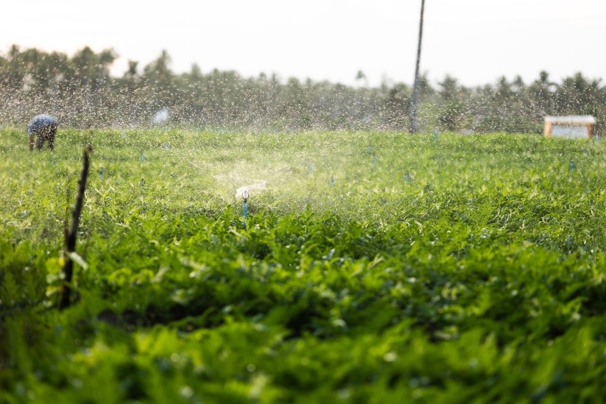 Agriculture water treatment application