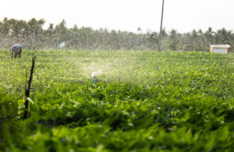 Agriculture water treatment application